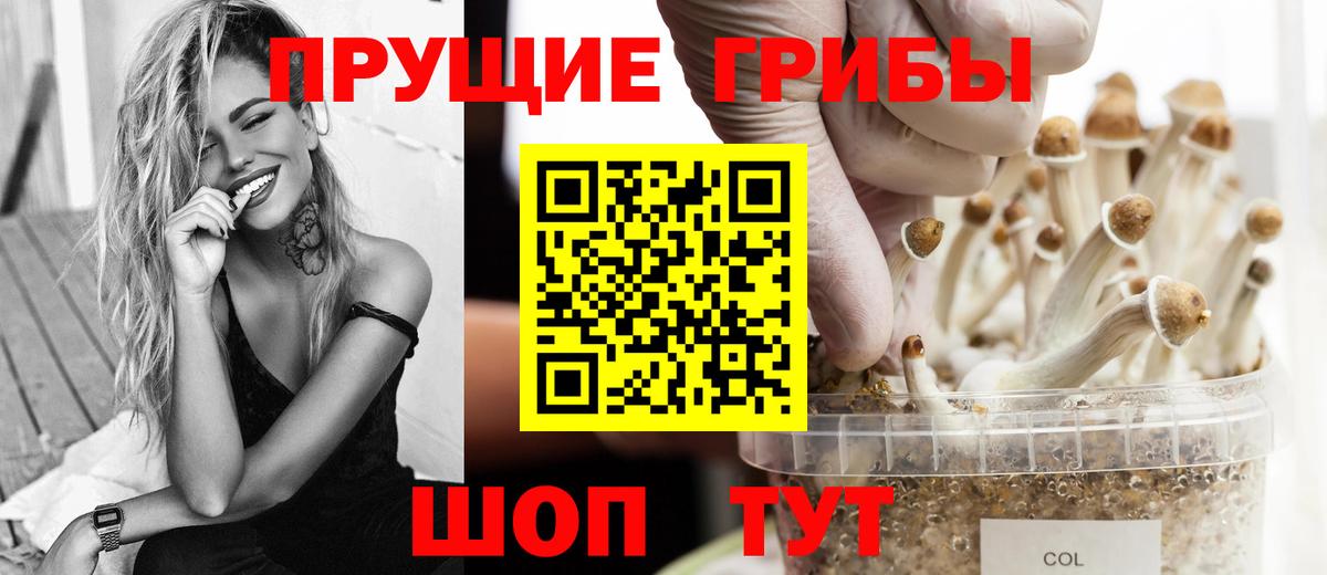 Сарапул  Псилоцибиновые грибы Psilocybine cubensis  Вход с VPN 