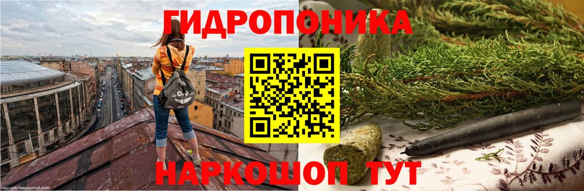 Марихуана Amnesia  Вход с VPN  Сарапул  МАРИХУАНА OG Kush  Канабис сатива 